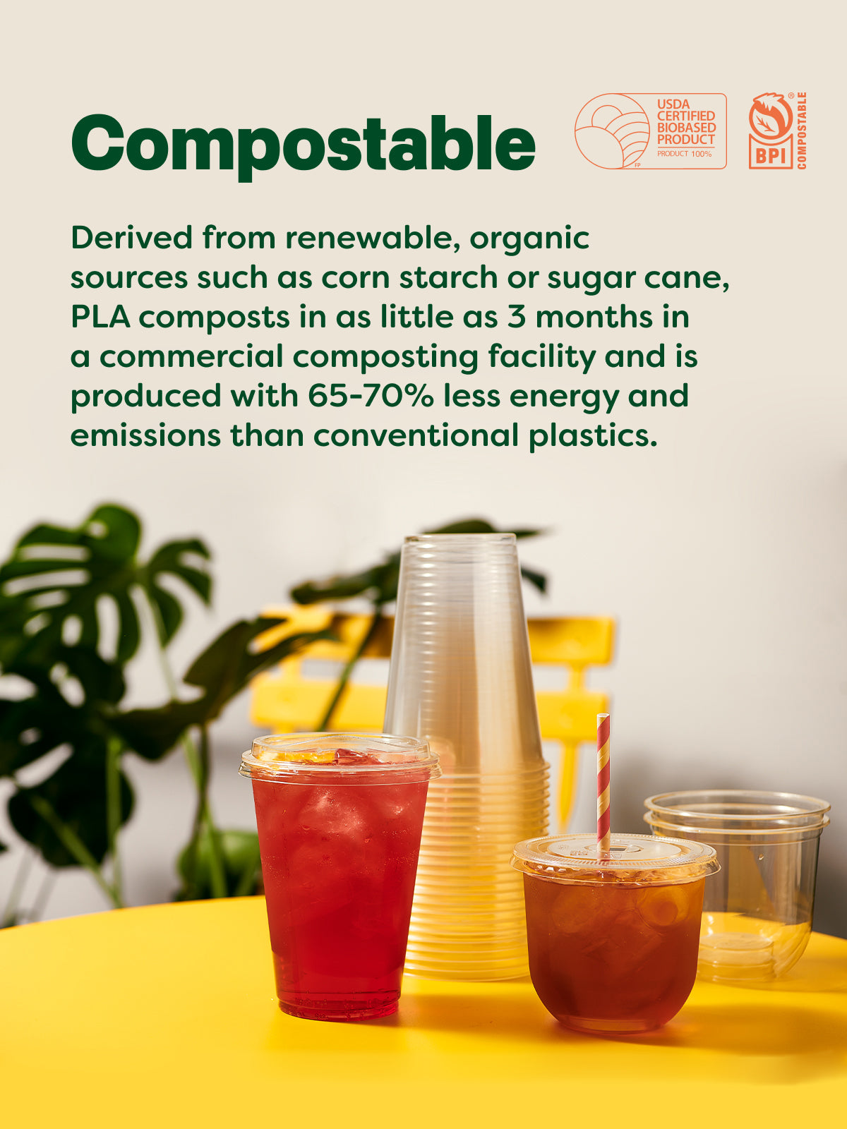 NATURAL 16oz Arena Compostable Cup - Bulk