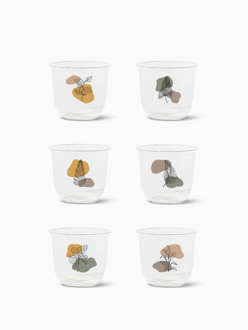 Botanical Linework - NATURAL 12oz Arc