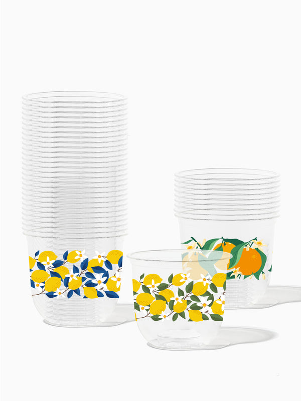 Citrus - NATURAL 12oz Arc