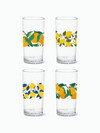 Citrus - RESERVE 14oz Highball Tritan™ Copolyester Glass