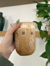 Coffee & Croissants - NATURAL 16oz Arc