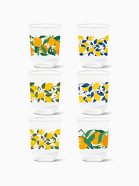 Citrus - NATURAL 16oz Arc