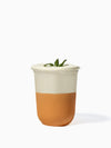 NATURAL 16oz Rounded Bottom Compostable Arc 98mm Cup - Bulk - 1000/Case