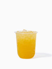 GO 16oz Rounded Bottom PET Arc Cup