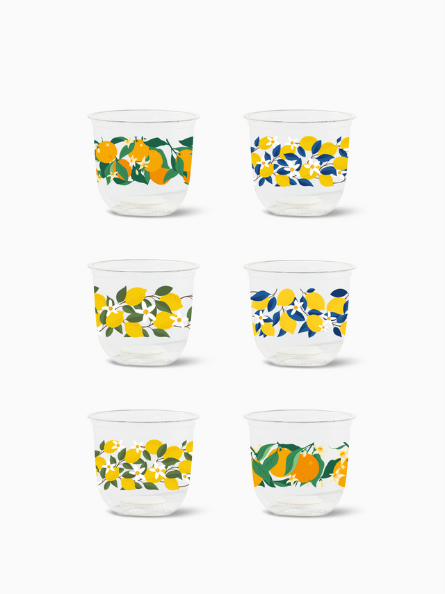 Citrus - NATURAL 12oz Arc