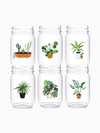Plant Mom - POP 16oz Mason