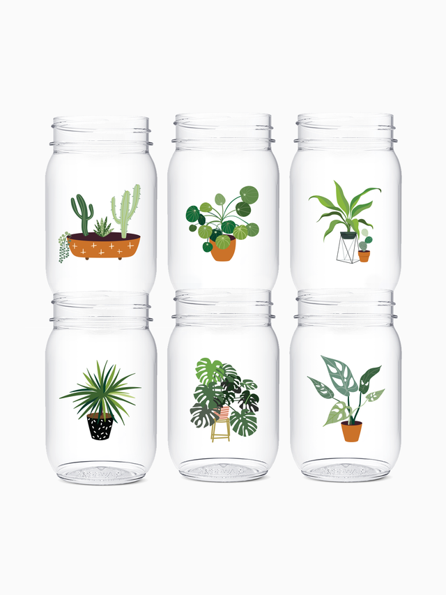Plant Mom - POP 16oz Mason