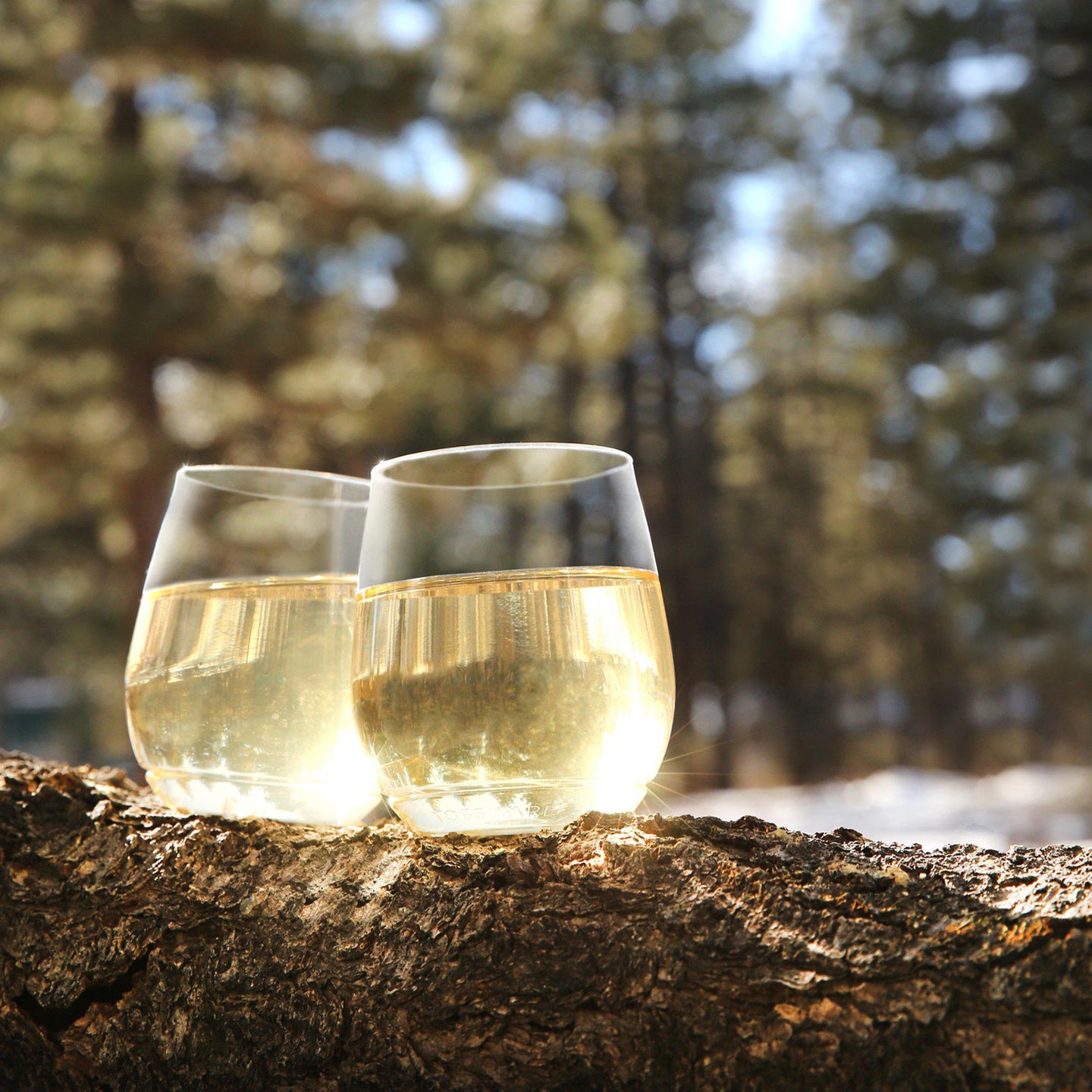 TOSSWARE | POP 14oz Vino